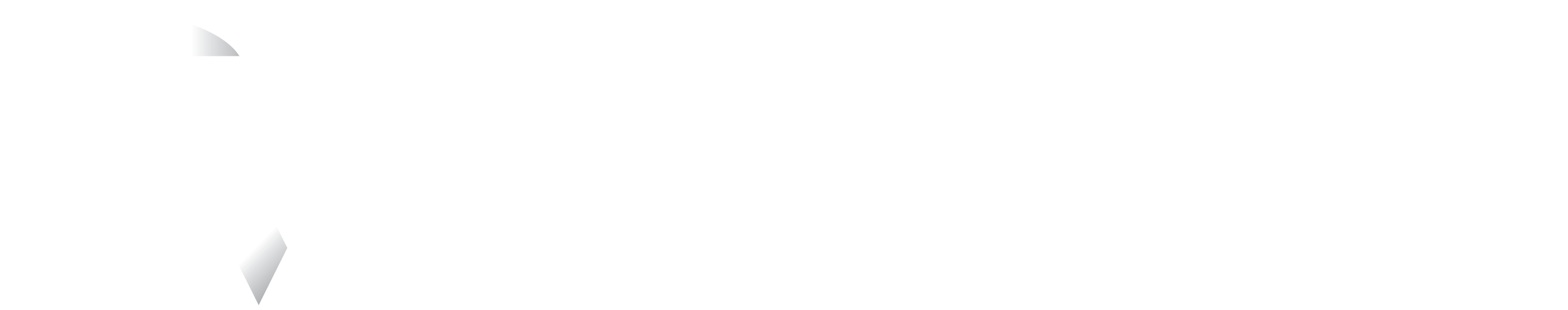 Riseweb Solutions Logo